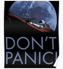 Póster Spacex no pánico