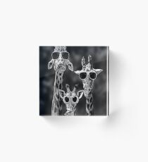 Funny Animal Acrylic Block