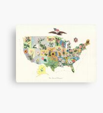 Vintage US-Staatsblume Karte (1911) Leinwanddruck