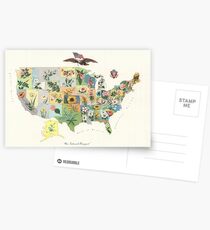 Vintage US-Staatsblume Karte (1911) Postkarten