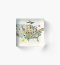 Vintage US-Staatsblume Karte (1911) Acrylblock