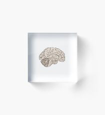 hemisected brain Acrylic Block