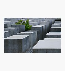 hope amongst despair Photographic Print