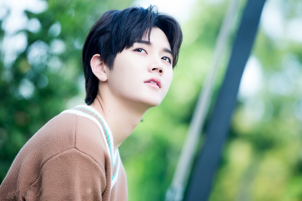 Imagini pentru nuest ren