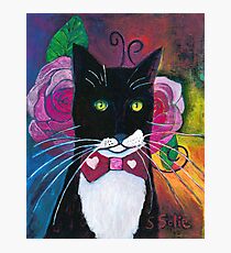 Tuxedo Cat and Pink Roses Photographic Print
