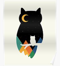 Eye On Owl Poster