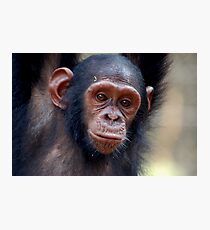 Soft Gaze Photographic Print