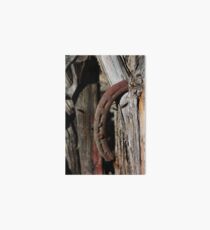 horse shoes Art Board