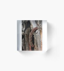 horse shoes Acrylic Block