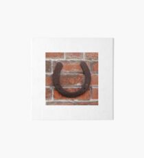 horse shoes Art Board