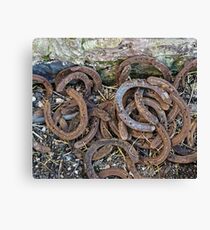 horse shoes Canvas Print