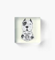 American Pitbull Tattooed Acrylic Block