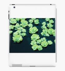 Botanisch iPad-Hülle & Skin