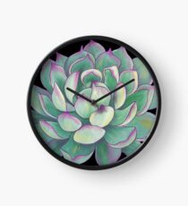 Reloj Planta suculenta