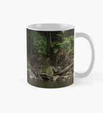 Fresh in the Rainforest - Curtis Falls Mug
