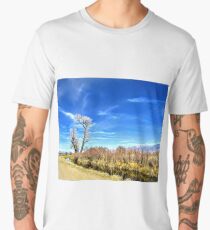 Sky Color Men's Premium T-Shirt