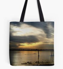 Barren Tote Bag