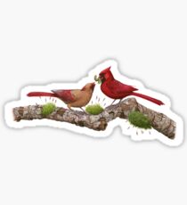 Northern Cardinal Sticker
