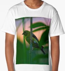 Camiseta larga Pinzón de oro americano