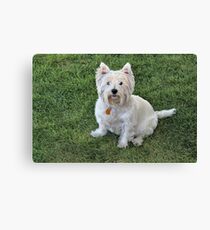 In Loving Memory Canvas Print