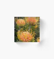 Proteas Acrylic Block