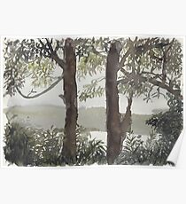 Smith's Lake Trees Poster