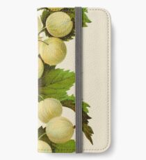 Canadian Horticulturalist 1888-96 - Downing Gooseberries iPhone Wallet/Case/Skin