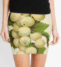Canadian Horticulturalist 1888-96 - Downing Gooseberries Mini Skirt