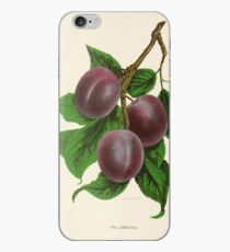 Canadian Horticulturalist 1888-96 - Fellemburg Plums iPhone Case
