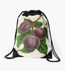 Canadian Horticulturalist 1888-96 - Fellemburg Plums Drawstring Bag