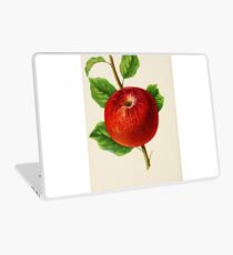 Canadian Horticulturalist 1888-96 - Hubbardston Nonsuch Apple Laptop Skin