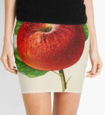 Canadian Horticulturalist 1888-96 - Hubbardston Nonsuch Apple Mini Skirt