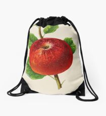 Canadian Horticulturalist 1888-96 - Hubbardston Nonsuch Apple Drawstring Bag