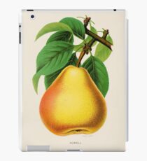 Canadian Horticulturalist 1888-96 - Howell Pear iPad Case/Skin