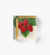 Canadian Horticulturalist 1888-96 - Parker Earle Strawberries Acrylic Block