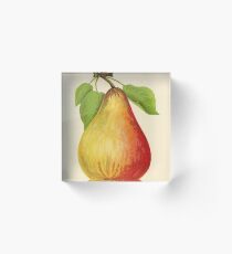 Canadian Horticulturalist 1888-96 - Pear Acrylic Block