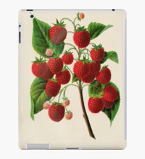 Canadian Horticulturalist 1888-96 - Raspberries iPad Case/Skin