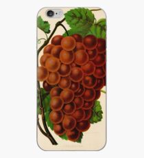 Canadian Horticulturalist 1888-96 - Vergennes Grapes iPhone Case