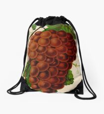 Canadian Horticulturalist 1888-96 - Vergennes Grapes Drawstring Bag