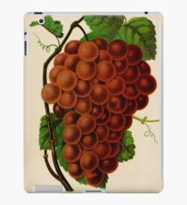 Canadian Horticulturalist 1888-96 - Vergennes Grapes iPad Case/Skin