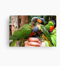 Survival of the fittest Canvas Print