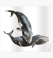 Whales Poster