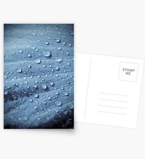 Waterdrops Postcards