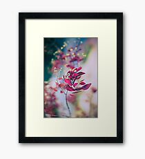 Japanese Breeze Framed Print