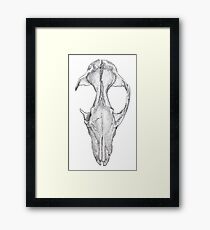 Fox Skull Framed Print