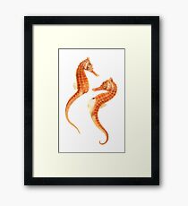 Seahorse Love Framed Print
