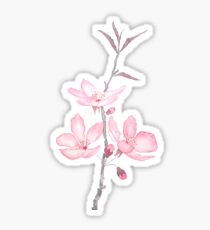 pink cherry blossom macro 2018 Sticker