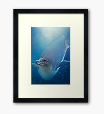 Penguin Framed Print