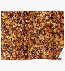 leaves Poster