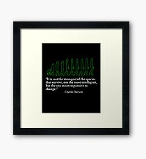 Evolution Framed Print